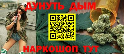 сатива Моздок
