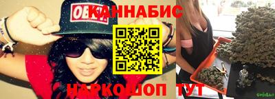 сатива Моздок