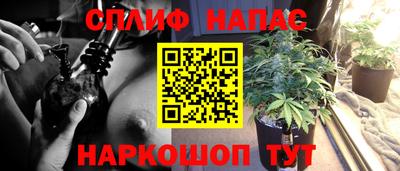 MESCALINE Можга