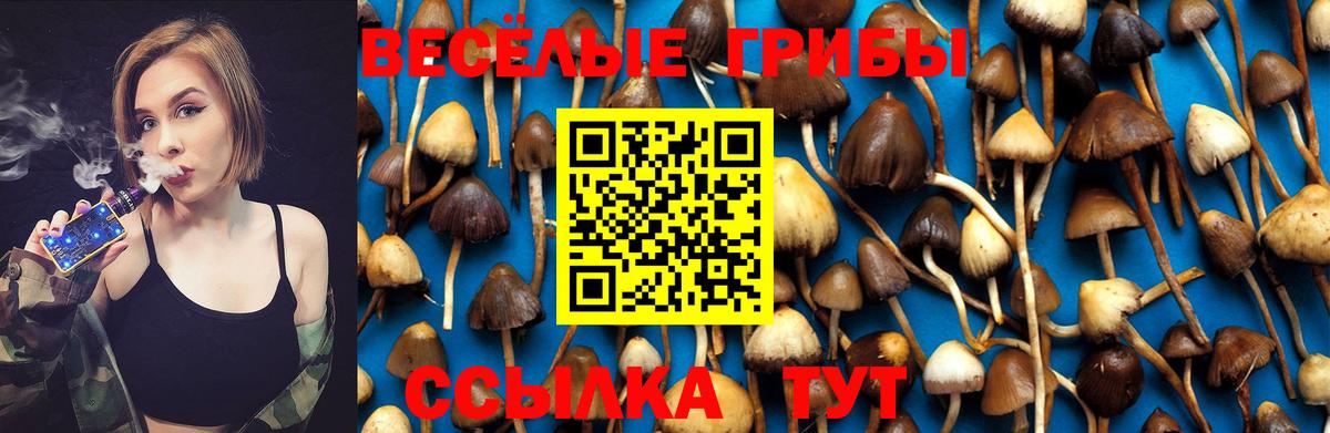 Галлюциногенные грибы MAGIC MUSHROOMS  Галлюциногенные грибы Cubensis  где можно купить наркотик  Чусовой  Вход с VPN 